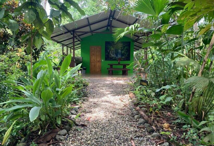 小室, Yejos Jungle Lodge