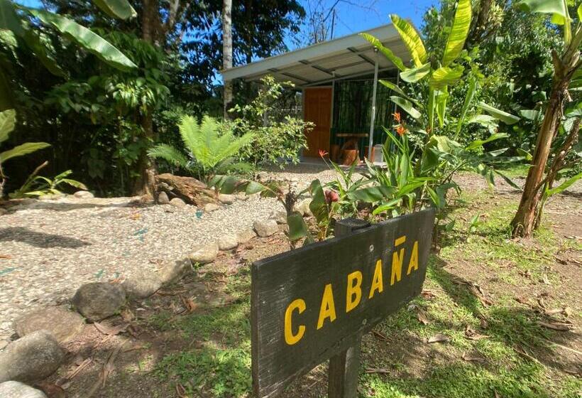 家庭洋房, Yejos Jungle Lodge