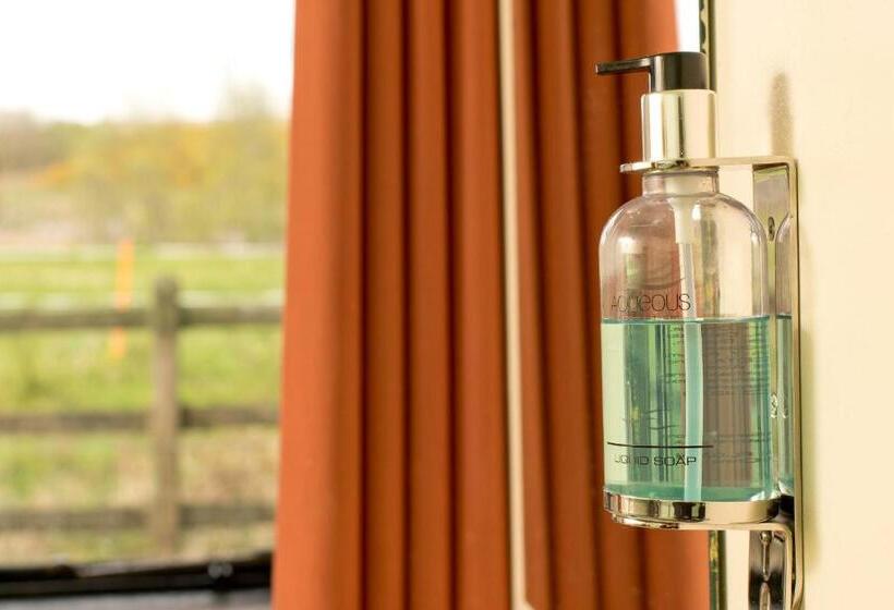 سرير فى غرفة مشتركة مزودة بحمام مشترك, Yha Dartmoor