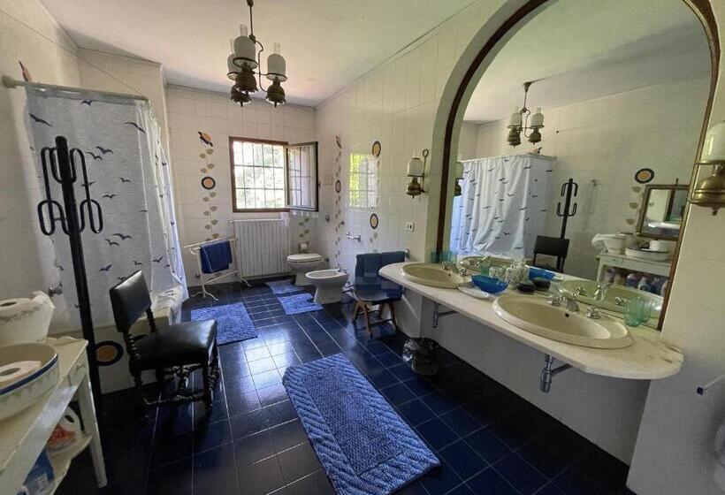 스탠다드 룸 공동 욕실, B&b Villa Gradenigo