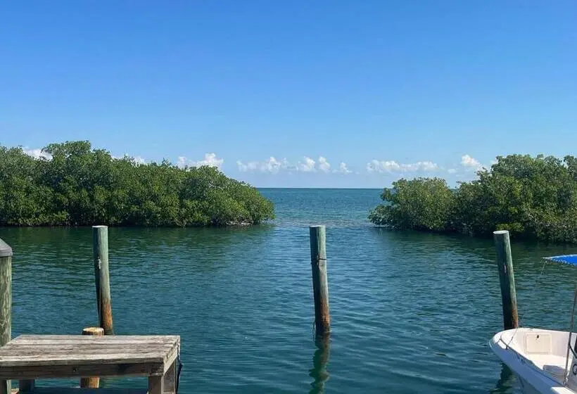デラックスルーム, Conch Key Fishing Lodge & Marina