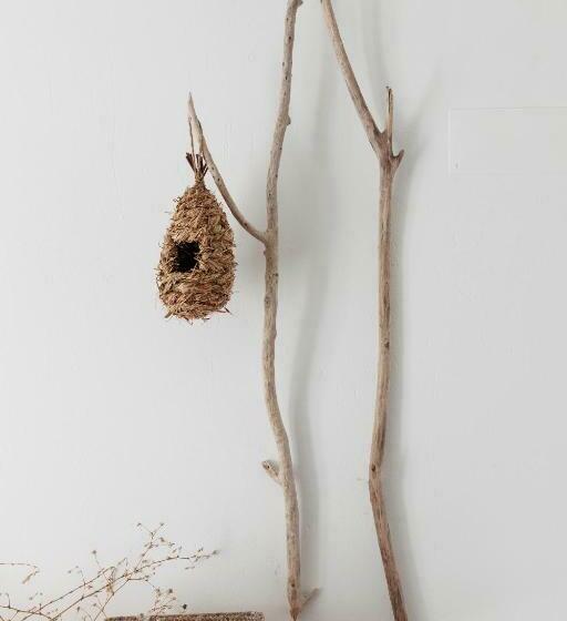 غرفة قياسية مطلّة علي الحديقة, Cucumbi