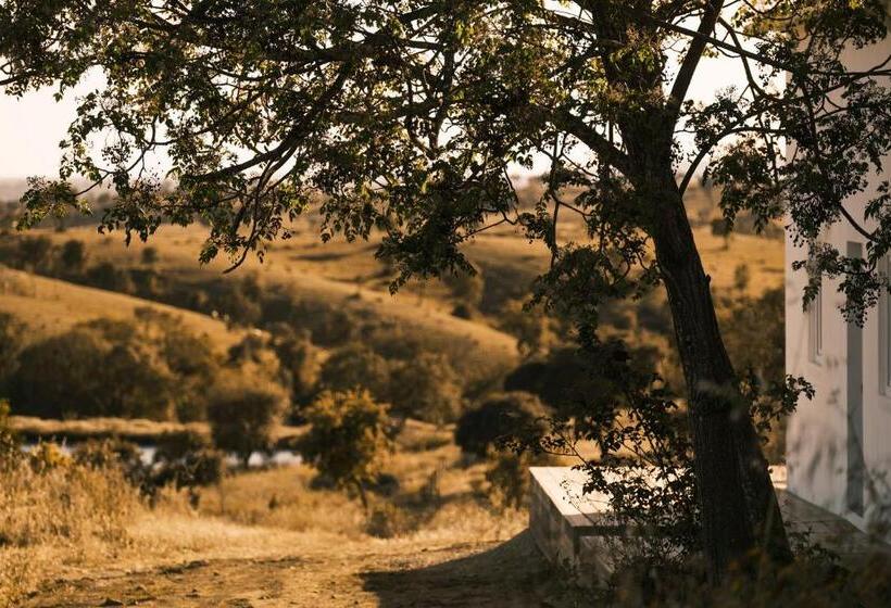 شقة بغرفة نوم واحدة, Cucumbi