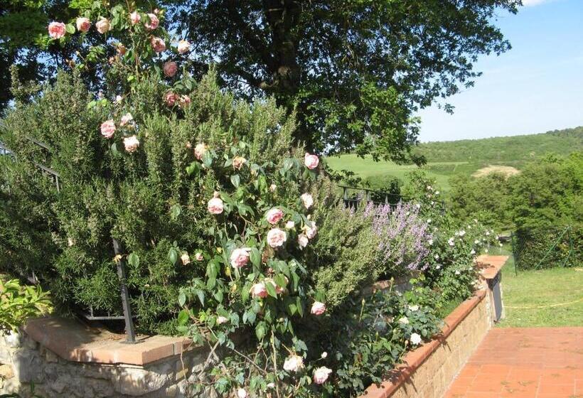 חדר סטנדרט, Sant'antonio