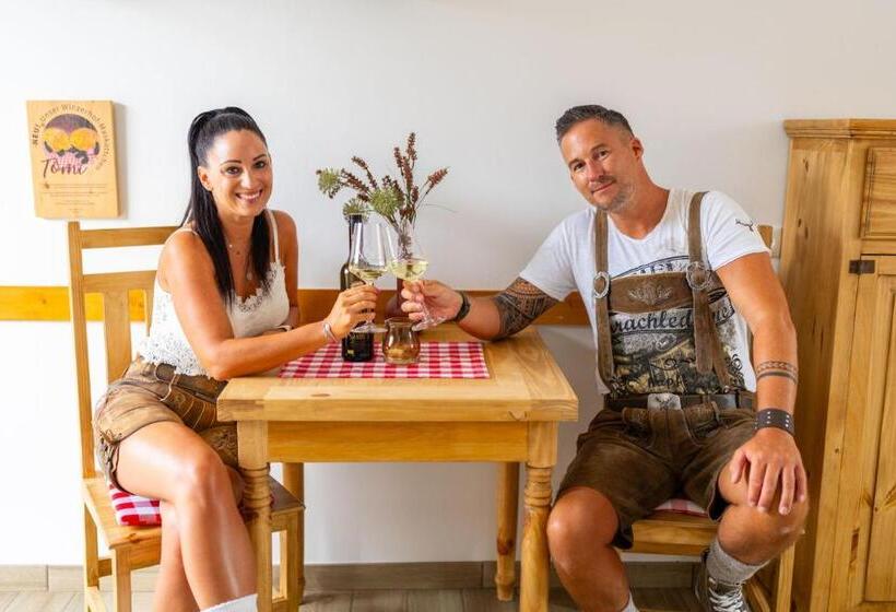 带1个卧室的带阳台的公寓, Winzerhof Küssler Weinviertel