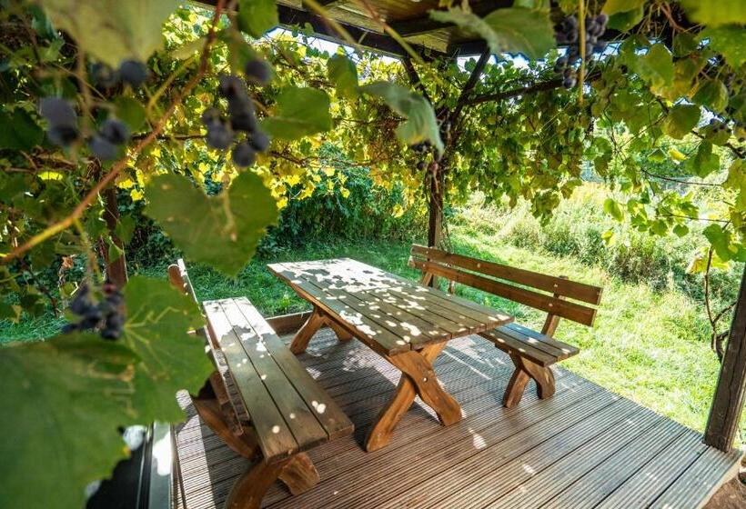 一居室别墅, Winzerhof Küssler Weinviertel