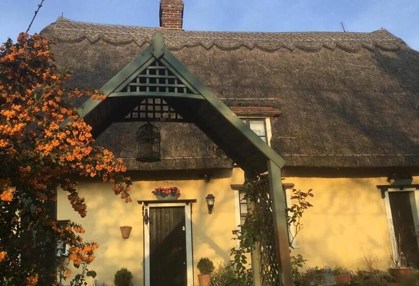 Хижина, Ivy Todd Cottage