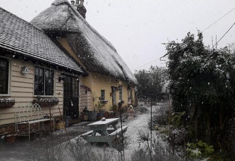 Хижина, Ivy Todd Cottage