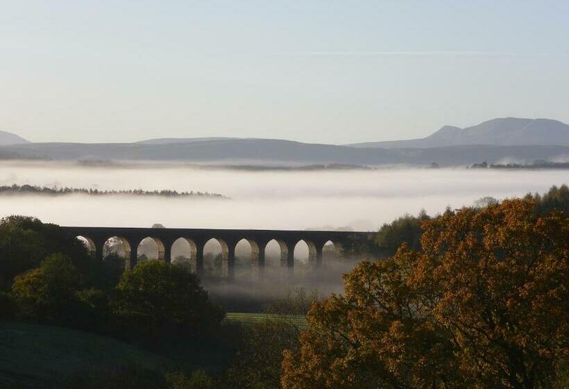 标准单人间, Llanerchindda Farm Guest House