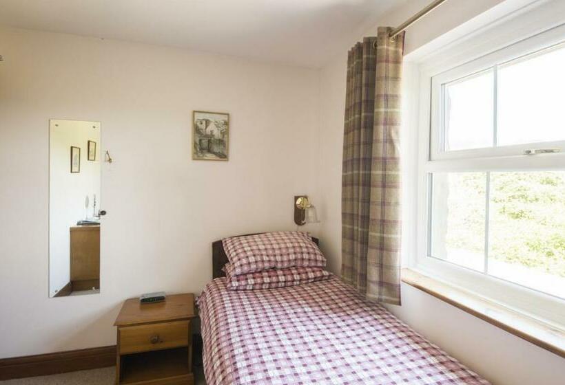 标准单人间, Llanerchindda Farm Guest House