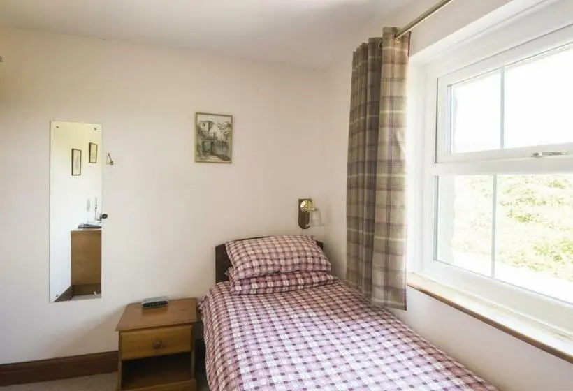 スタンダードシングルルーム, Llanerchindda Farm Guest House