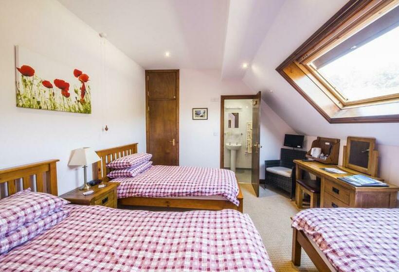 스탠다드 룸, Llanerchindda Farm Guest House