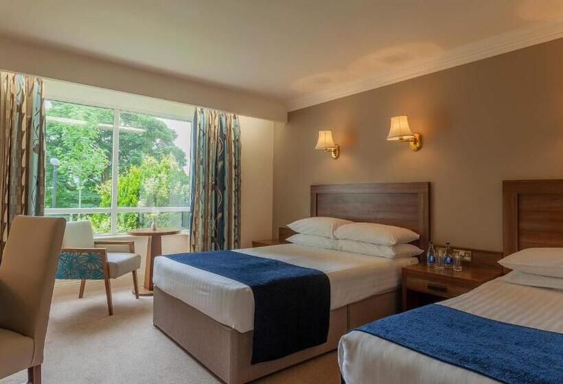 Номер Стандарт, Ballyroe Heights