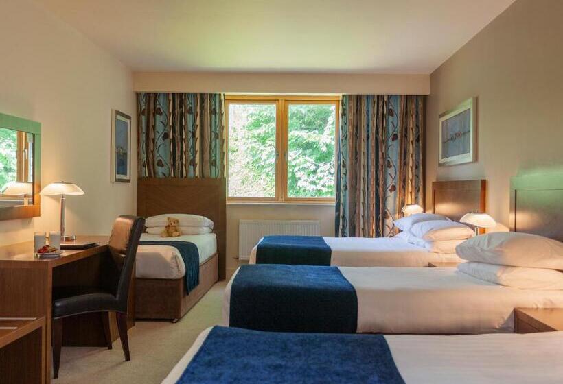 ファミリールーム, Ballyroe Heights