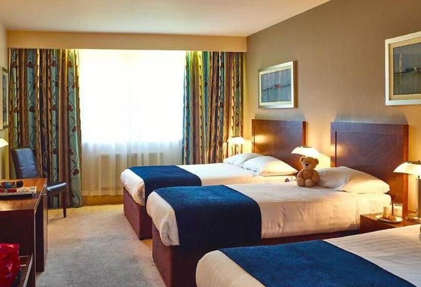 Семейный Номер, Ballyroe Heights