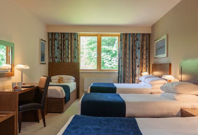 Семейный Номер, Ballyroe Heights