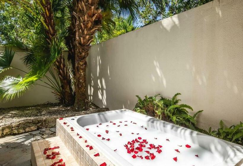 ویلای 1 خوابه, Sunscape Dominicus La Romana All Inclusive