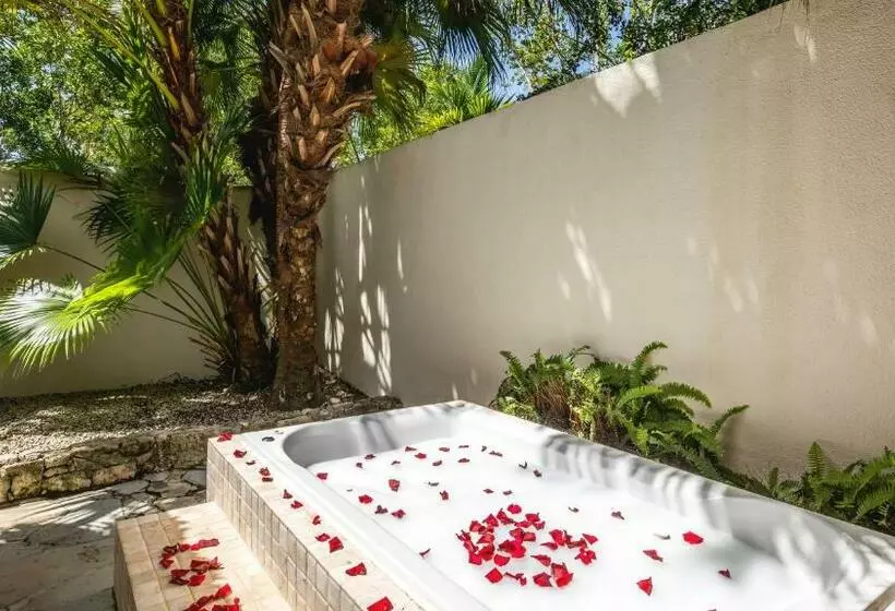ویلای 1 خوابه, Sunscape Dominicus La Romana All Inclusive