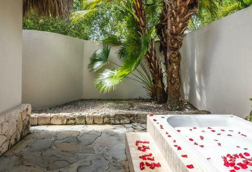 ویلای 1 خوابه, Sunscape Dominicus La Romana All Inclusive