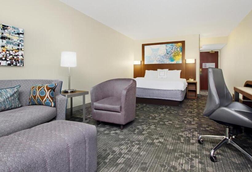 Pokój Typu Standard Łóżko King Przystosowany dla Osób Niepełnosprawnych, Courtyard By Marriott Cocoa Beach Cape Canaveral