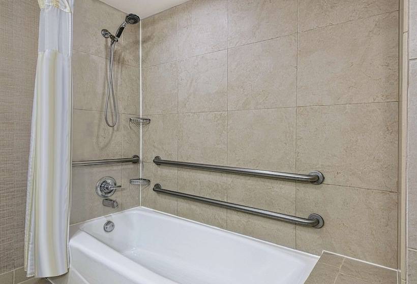 适合残疾人使用的标准间, Hilton Garden Inn San Antonio Airport