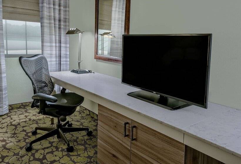 适合残疾人使用的标准间, Hilton Garden Inn San Antonio Airport