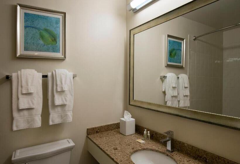 غرفة قياسية سرير كينج, Cirque St. Armands Beachside