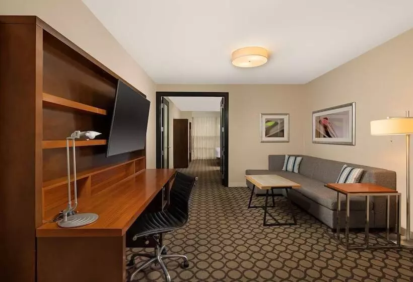 2ベッドスイートルーム, Hyatt Regency Orange County