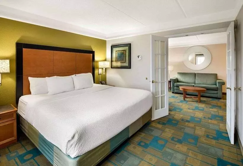 سوئیت با تخت بزرگ, La Quinta By Wyndham Greenville Haywood