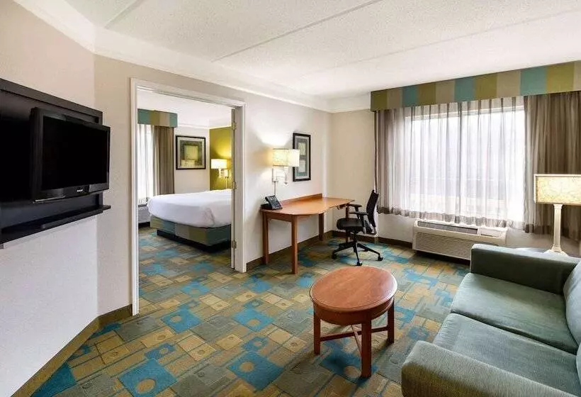 سوئیت با تخت بزرگ, La Quinta By Wyndham Greenville Haywood