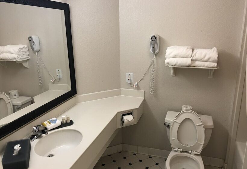 豪华房间, La Quinta By Wyndham Jacksonville Butler Blvd