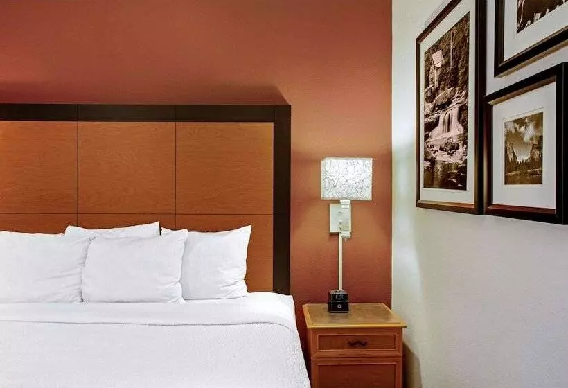２ダブルベッドのスタンダードルーム, La Quinta By Wyndham Winston Salem