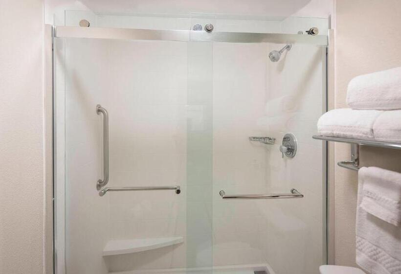 سوئیت با تخت بزرگ, Springhill Suites By Marriott New Orleans Warehouse Arts District