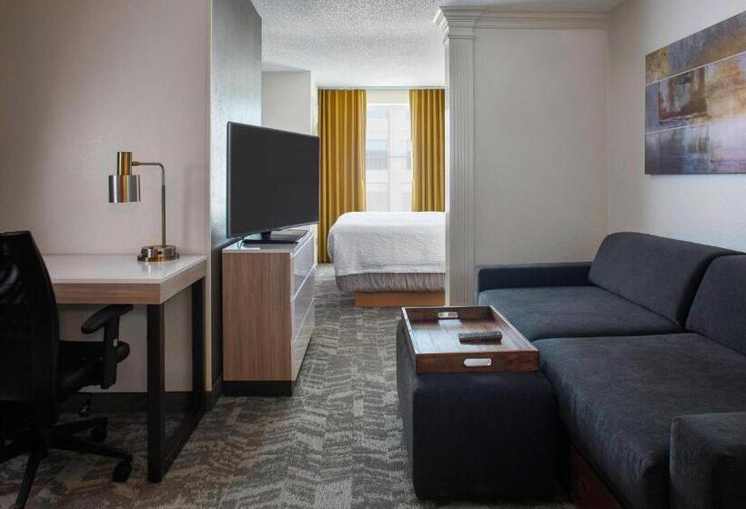 سوئیت با تخت بزرگ, Springhill Suites By Marriott New Orleans Warehouse Arts District