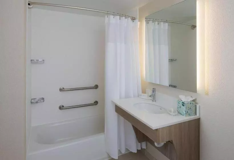 クイーンサイズベッドのスイートルーム, Springhill Suites By Marriott New Orleans Warehouse Arts District