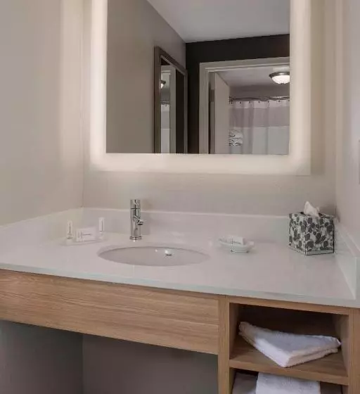 クイーンサイズベッドのスイートルーム, Springhill Suites By Marriott New Orleans Warehouse Arts District