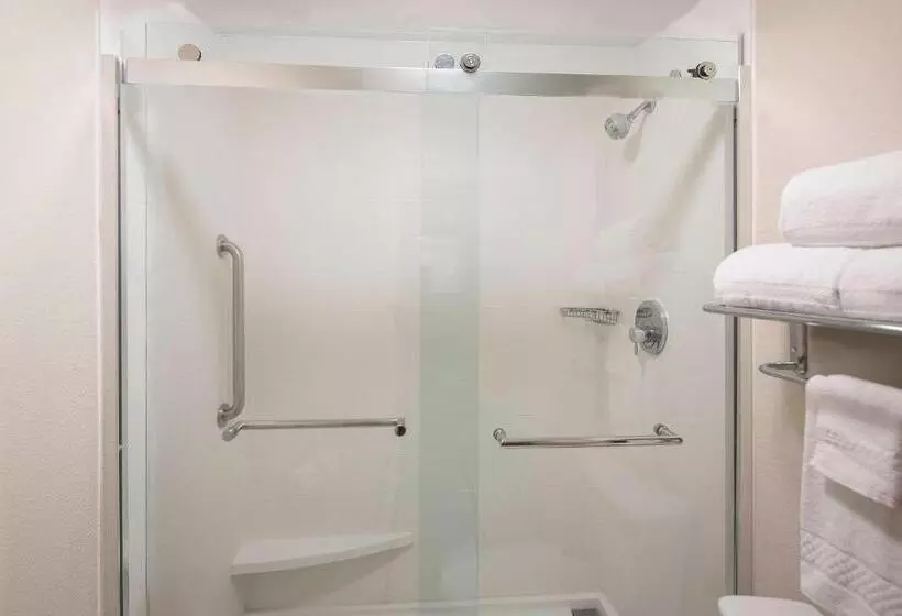 クイーンサイズベッドのスイートルーム, Springhill Suites By Marriott New Orleans Warehouse Arts District
