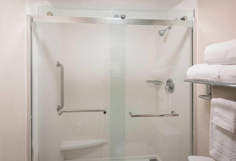 سوئیت مدیریتی 2 خوابه, Springhill Suites By Marriott New Orleans Warehouse Arts District