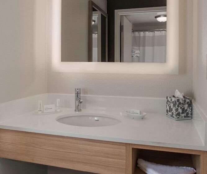 سوییت جونیور, Springhill Suites By Marriott New Orleans Warehouse Arts District