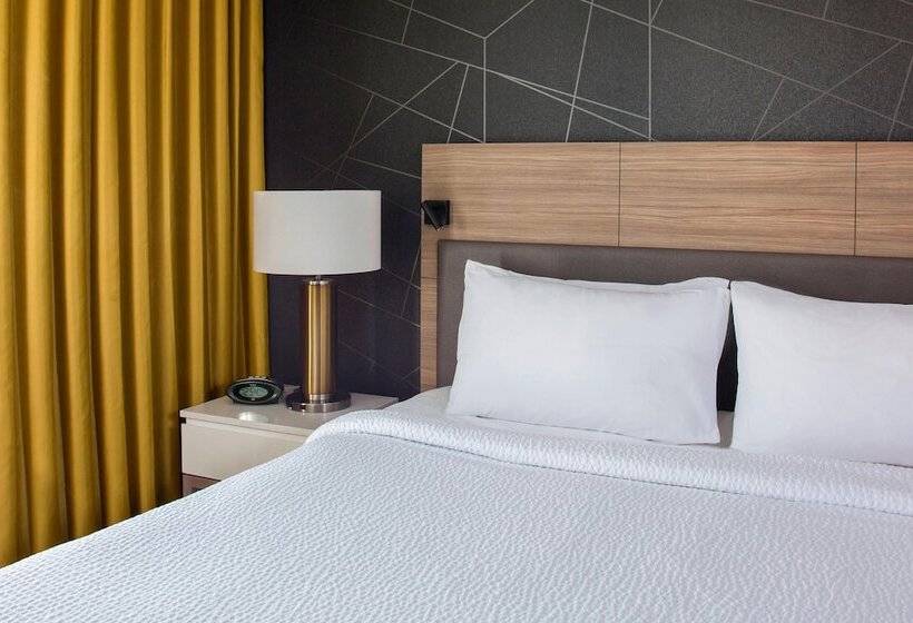 سوییت جونیور, Springhill Suites By Marriott New Orleans Warehouse Arts District