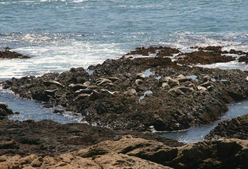 חדר דחוקס עם מיטת קינג, The Oceanfront Inn