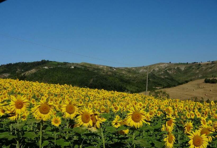 חדר סטנדרט עם ג'קוזי, B&b Cà Biocco