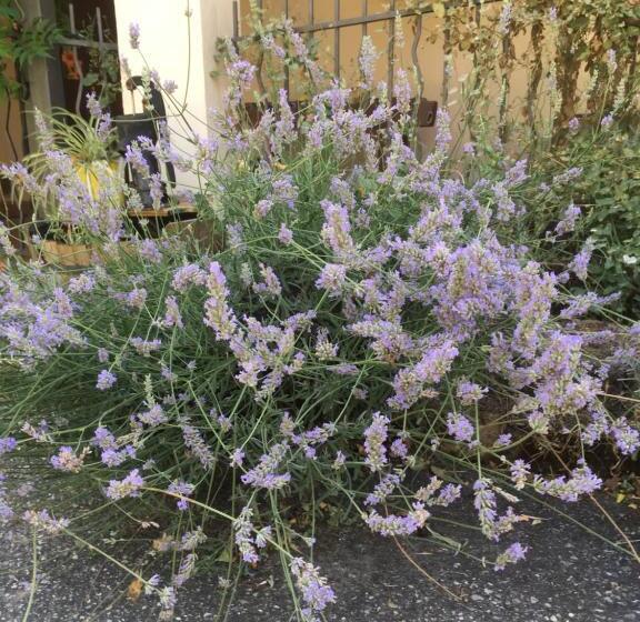 חדר סטנדרט עם ג'קוזי, B&b Cà Biocco