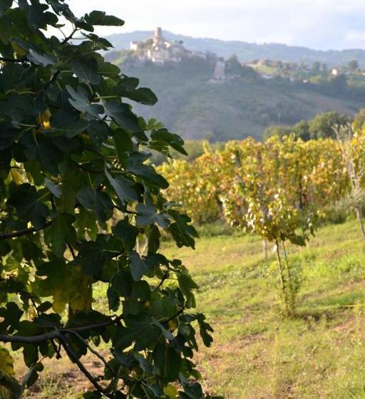 דירת חדר נוף לבריכה, B&b Cà Biocco