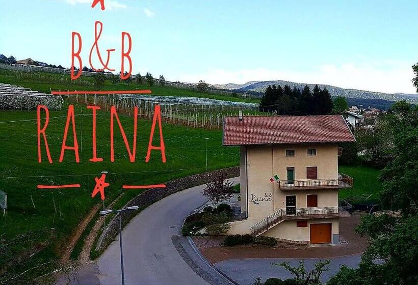 غرفة قياسية فردية, B&b Raina