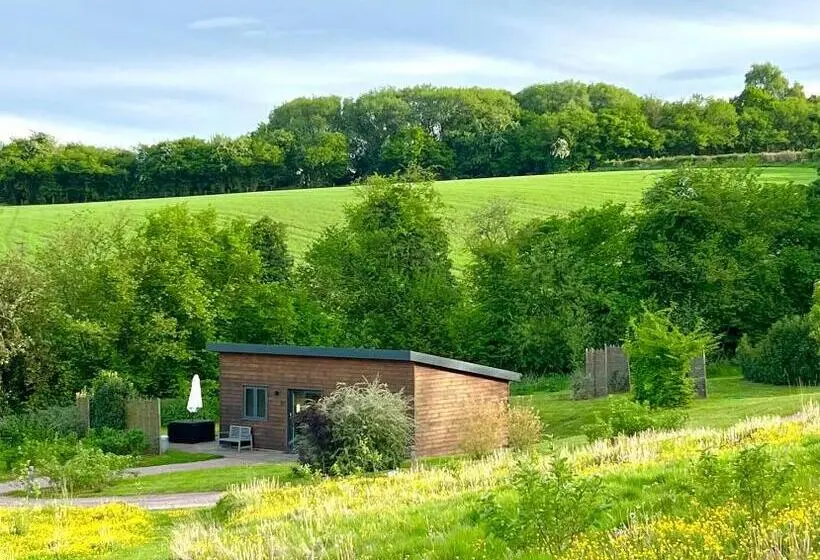 デラックスルーム, The Baiting House