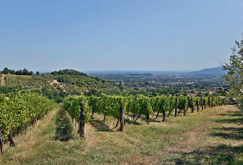 فيلا غرفة نوم واحدة مع مسبح, Bertolli Villas