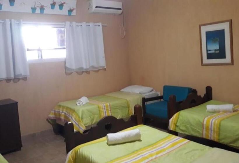 수피리어 트리플 룸, Fazenda Terra Ramos