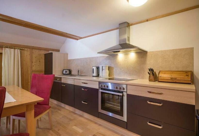 Апартаменты 1 Спальня с Балконом, Ferienwohnungen Gästehaus Altginzling