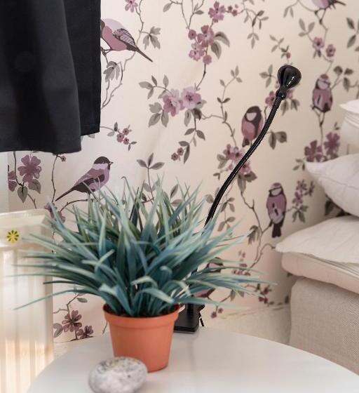 1间卧室的房子, Immeln Guest House